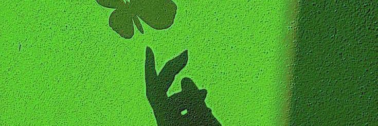 raineleah24's profile banner image