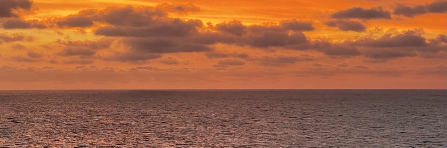 SofiRametta's profile banner image