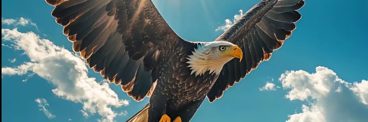 DOSKI_101's profile banner image