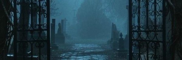 Soulessvoids Profile Banner