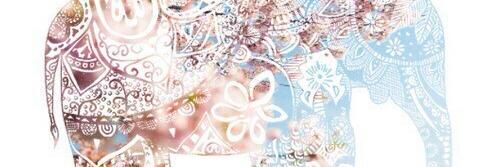 bria_nyc's profile banner image
