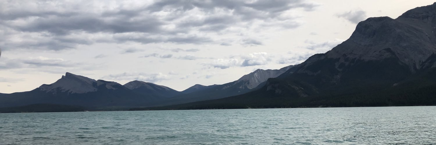 andrea 🇵🇸🇵🇸🇵🇸 banner