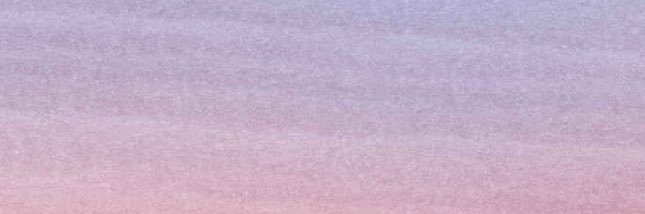 baileybee95's profile banner image