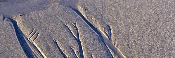 off the shelf edge banner