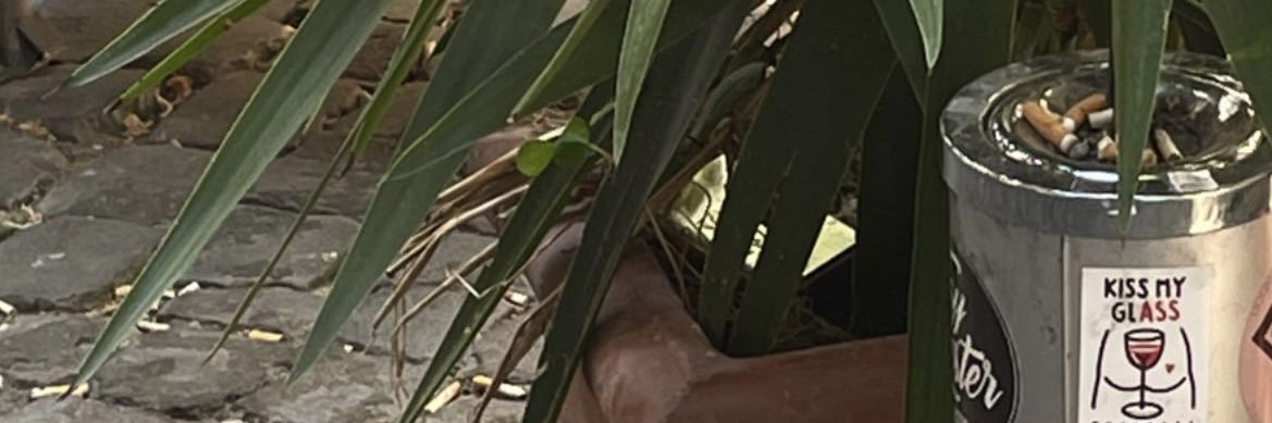 sveev_'s profile banner image