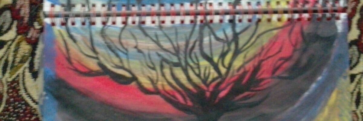 Nafeez zee banner