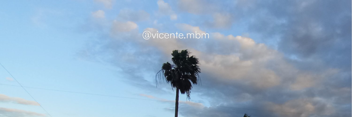 vicentembm's profile banner image