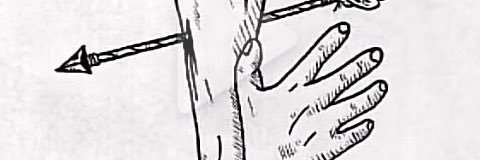 WhosDCIM's profile banner image