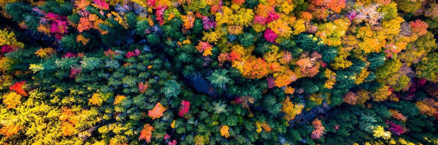 Iron Oak Stoicism banner