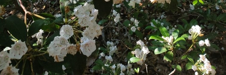 KileAuthor's profile banner image