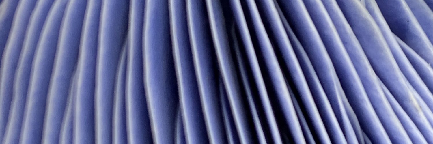 aike555's profile banner image