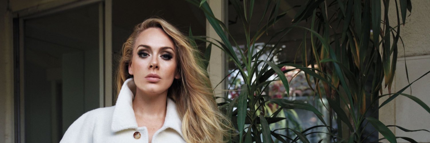 adelebrcom's profile banner image