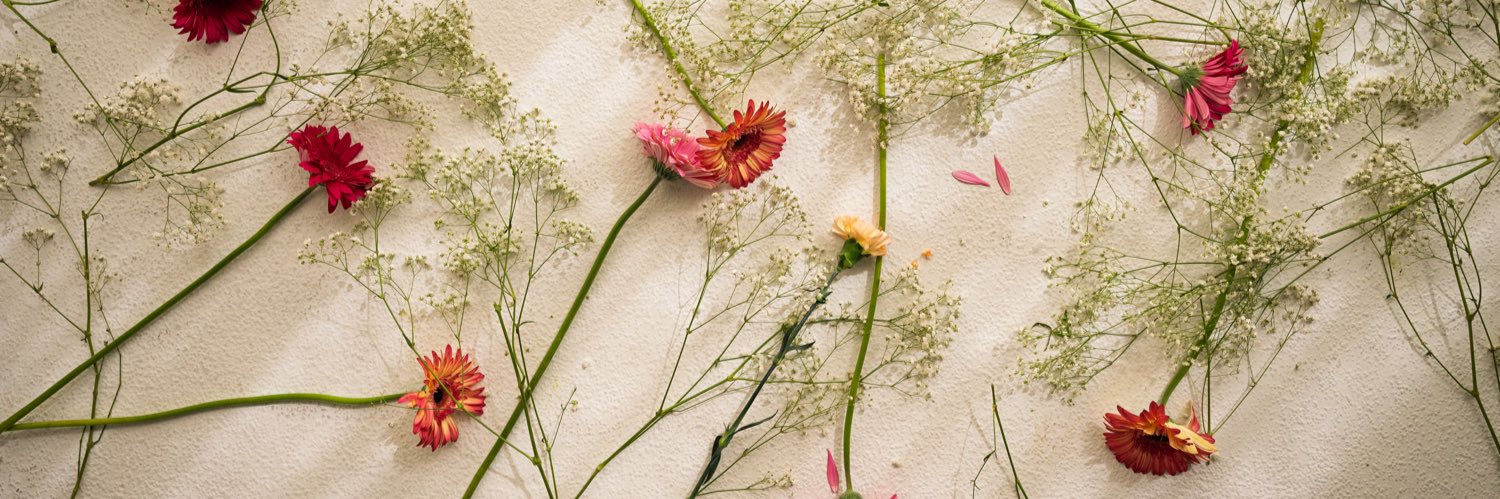 MELA BEE's banner