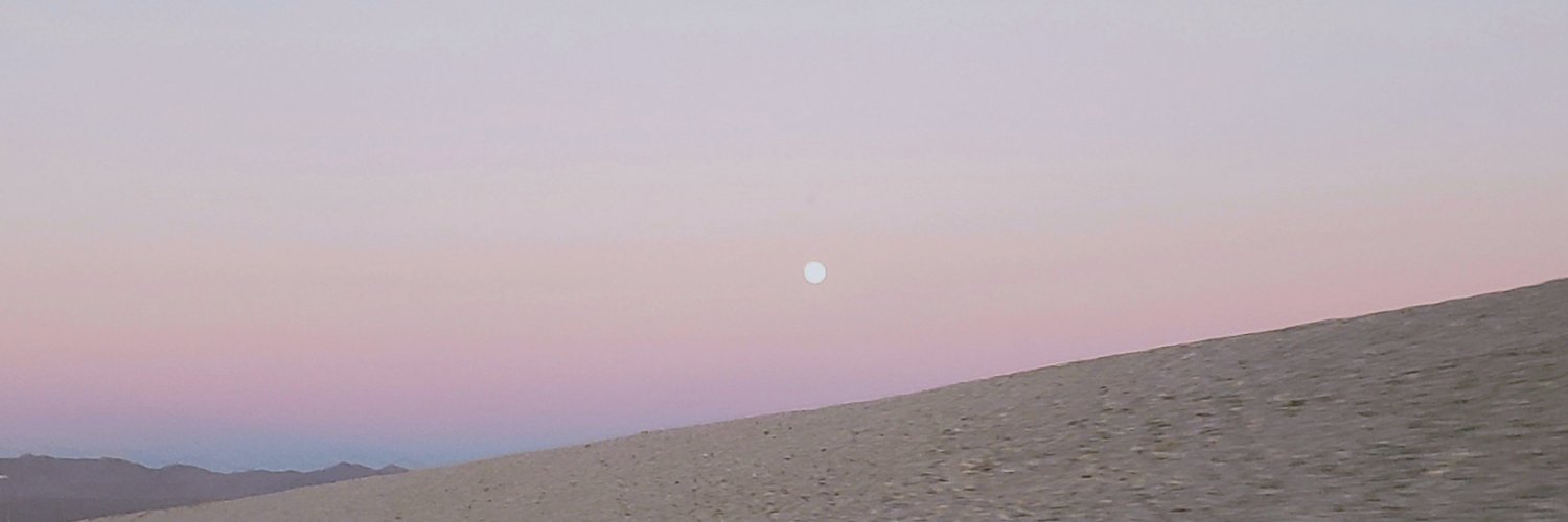 PurposefulStyle's profile banner image