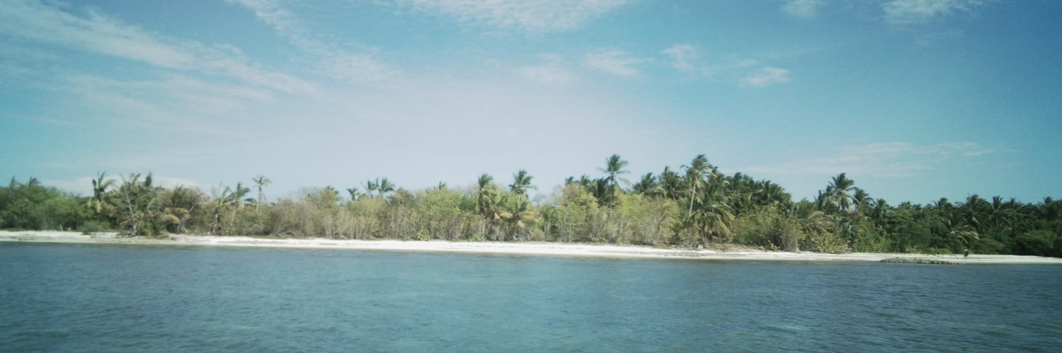 Courtney Thibault banner
