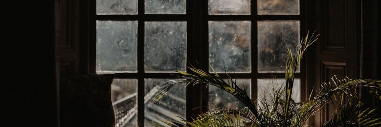 KALEINKS's profile banner image