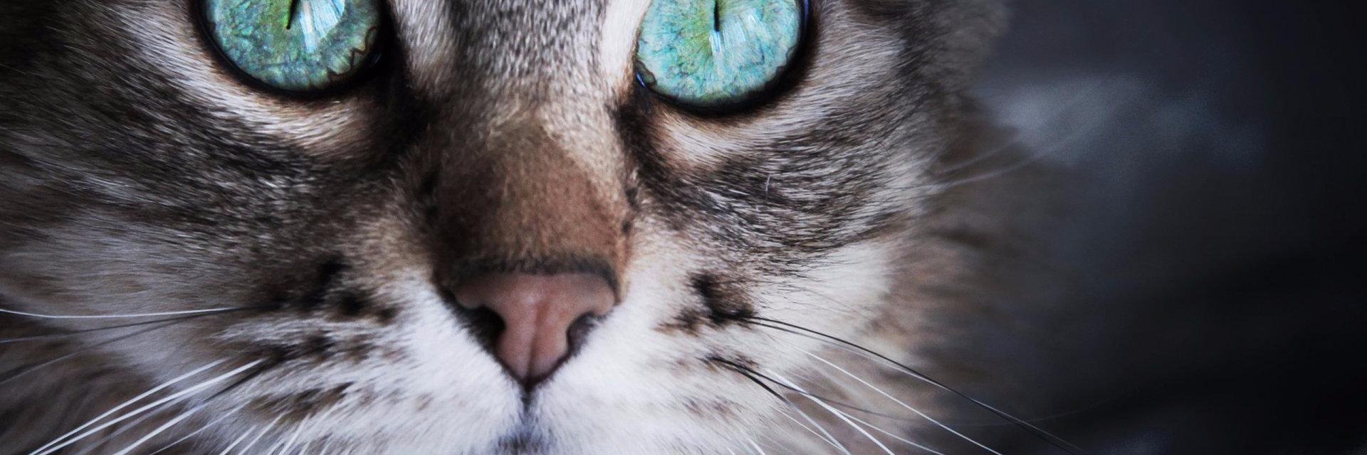 toff59260's profile banner image