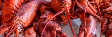 Lobsterman banner