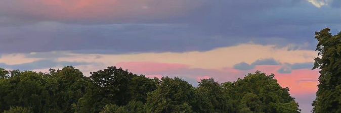 monday. banner