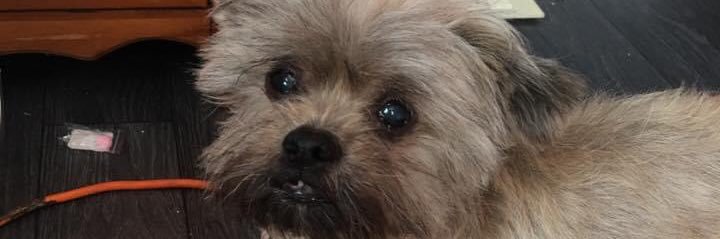 xans73pac's profile banner image