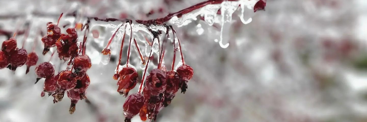 EmBKBooks's profile banner image
