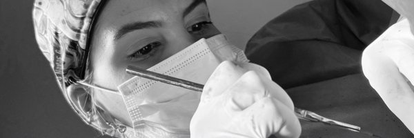 AlejandraNavas Profile Banner