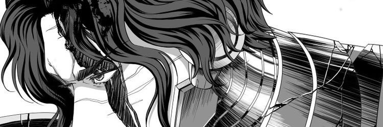 mir banner