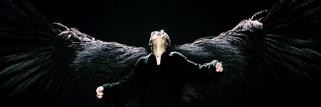 BrightBirdRB's profile banner image