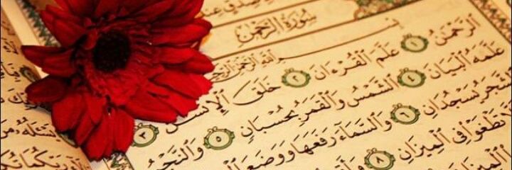 Malak banner