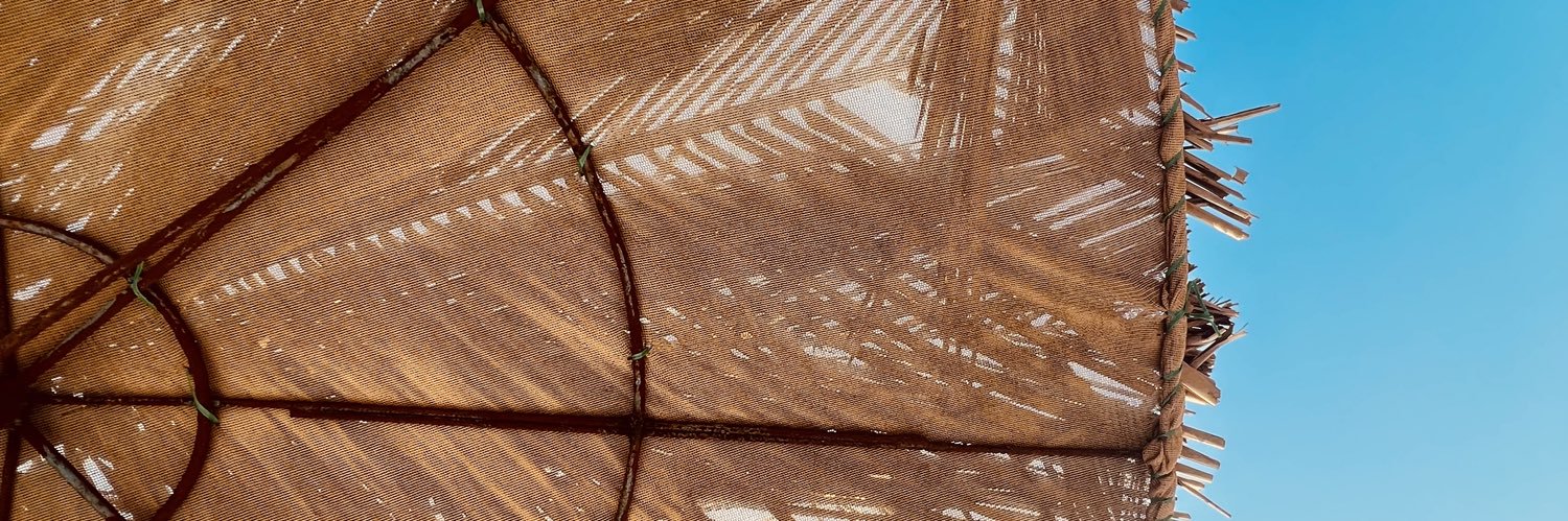 Adyasha Padhy banner