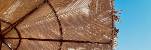 AdyashaPadhy Profile Banner