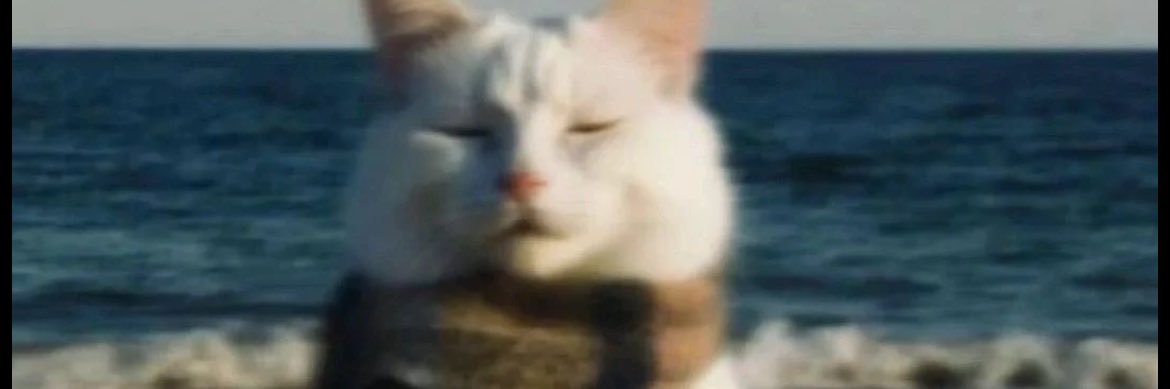 lithozz1's profile banner image