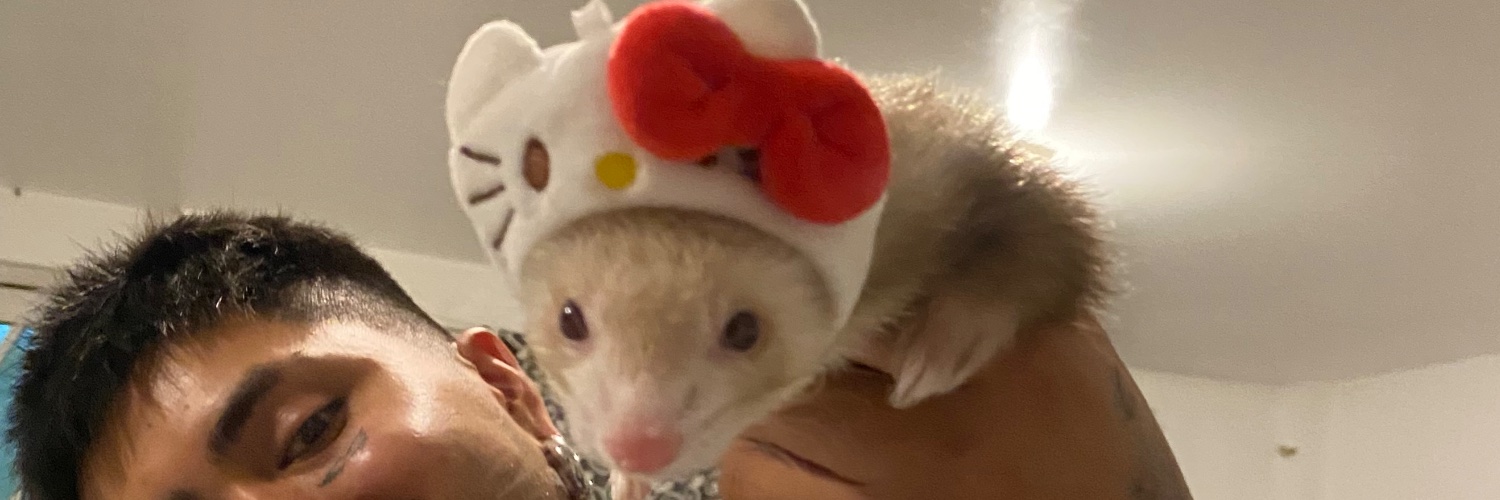 maytesukii's profile banner image