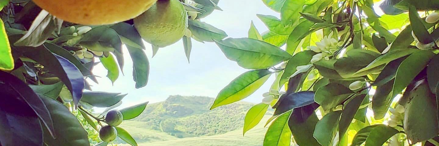 CencalFarming's profile banner image