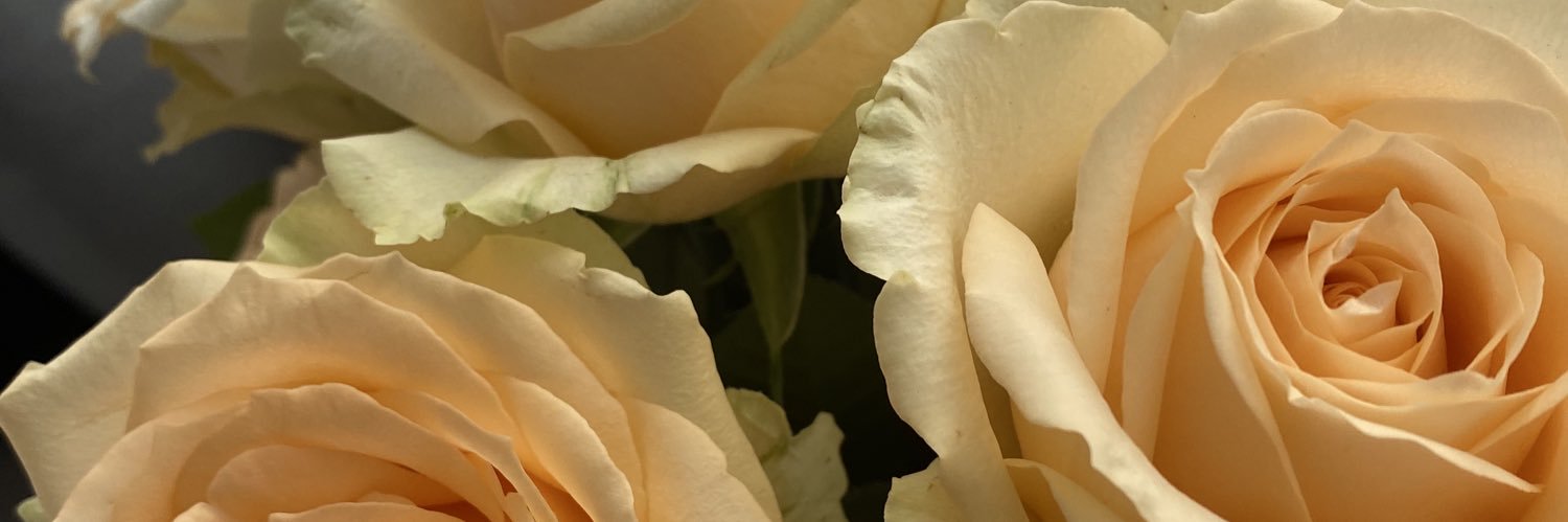 itsselale's profile banner image