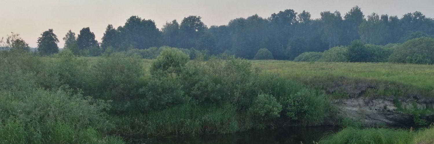 romikl's profile banner image
