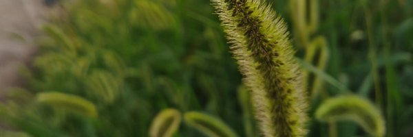 AndySoo20 Profile Banner