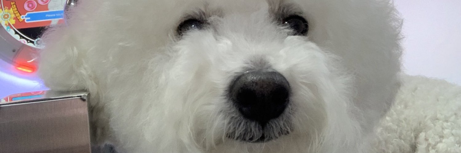 エアライダー海老 banner