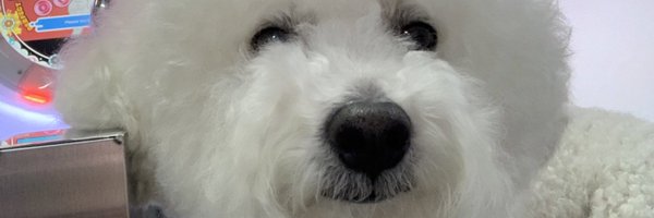 ebebeby Profile Banner