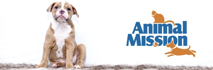 Animal Mission banner