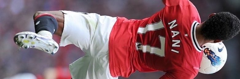 tamalepeter6's profile banner image