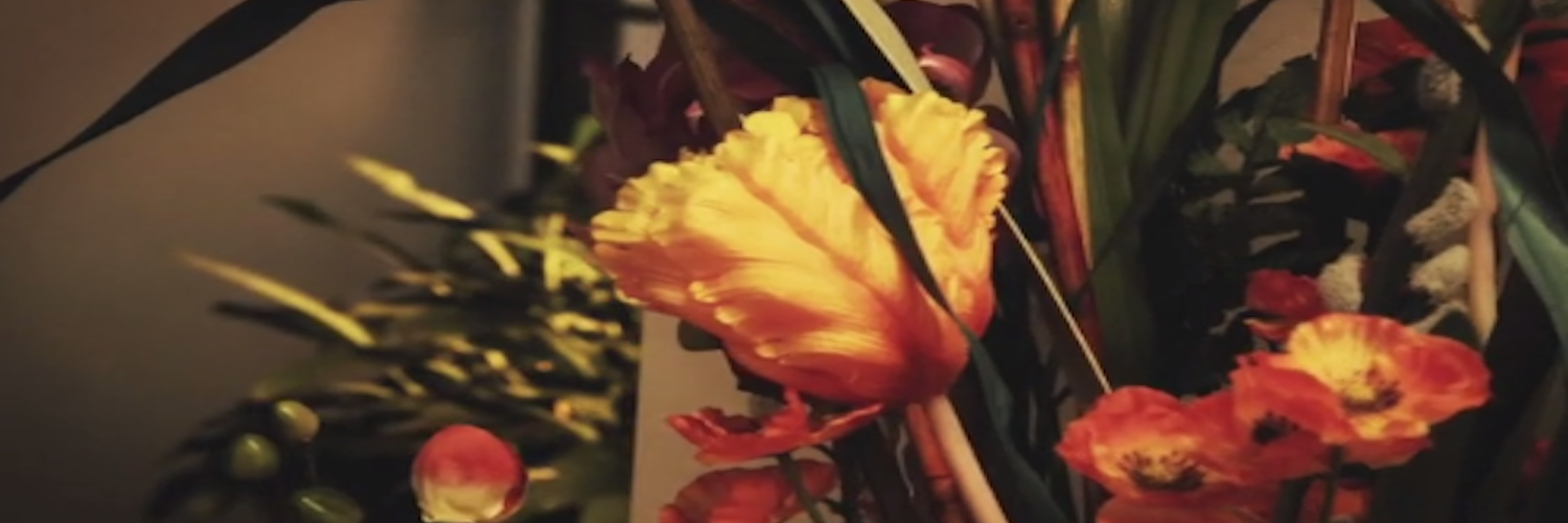 HyacinthsPlace's profile banner image