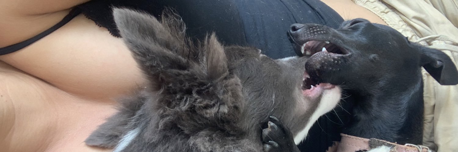 deliberalliduda's profile banner image