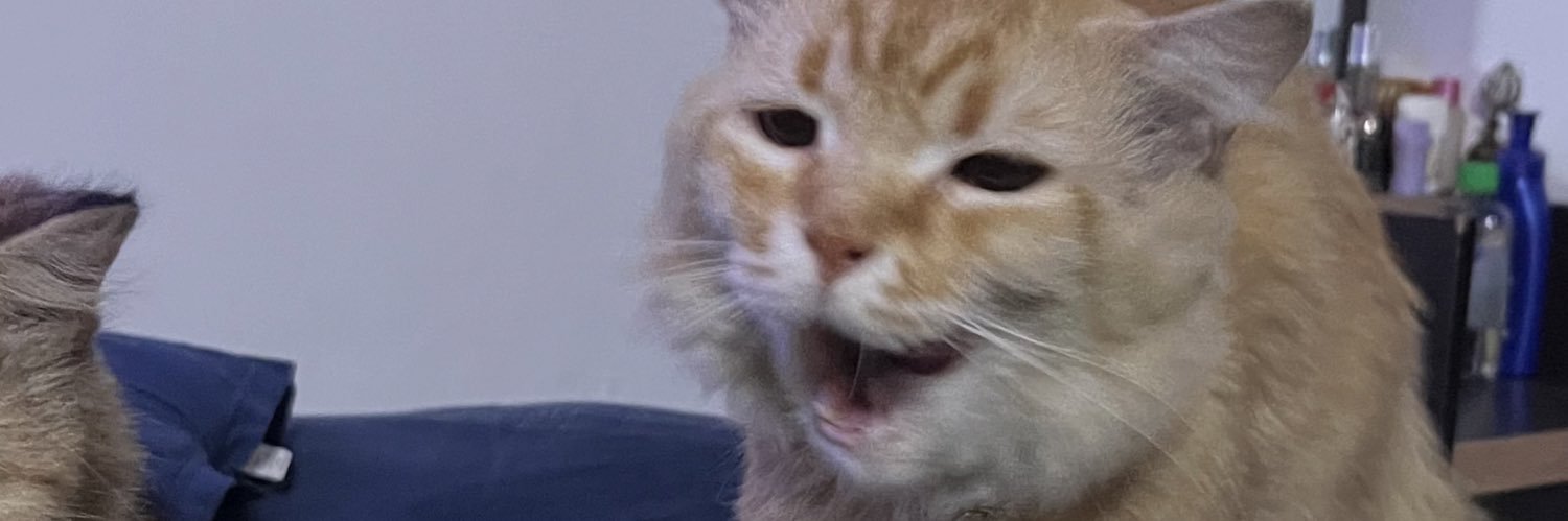 mfbbwchlsm's profile banner image
