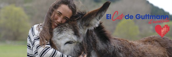 GuttmannBCN Profile Banner