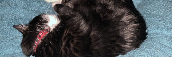 Scottishnutter1 Profile Banner