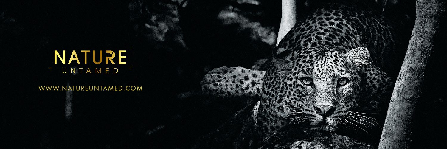 Nature Untamed banner