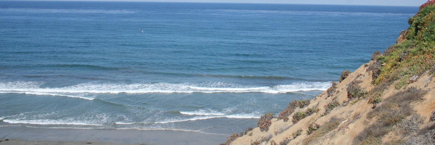 solanabeachsun's profile banner image