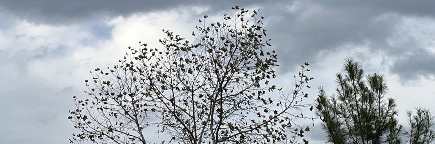 Bu seni hiç alâkadar etmez banner