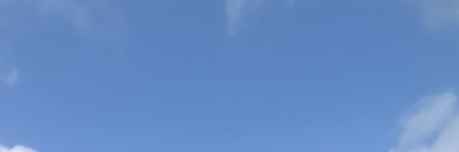 v_ness33's profile banner image